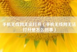 手机无线网无法打开（手机无线网无法打开是怎么回事）