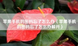 苹果手机的密码忘了怎么办（苹果手机的密码忘了怎么办解开）