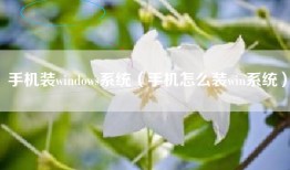 手机装windows系统（手机怎么装win系统）