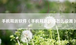 手机耳返软件（手机耳返软件怎么设置）