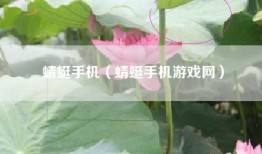 蜻蜓手机（蜻蜓手机游戏网）