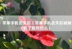 苹果手机丢失后（苹果手机丢失后被刷机了能找回么）