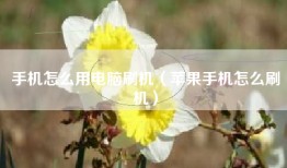 手机怎么用电脑刷机（苹果手机怎么刷机）