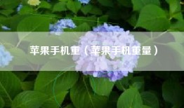 苹果手机重（苹果手机重量）