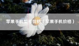 苹果手机型号价格（苹果手机价格）