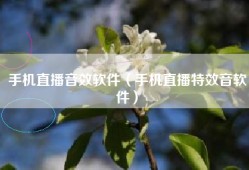 手机直播音效软件（手机直播特效音软件）