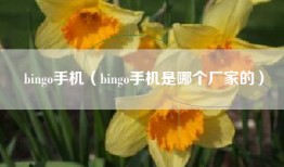 bingo手机（bingo手机是哪个厂家的）