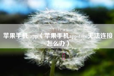 苹果手机 app（苹果手机appstore无法连接怎么办）