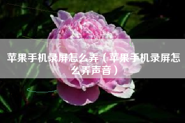 苹果手机录屏怎么弄（苹果手机录屏怎么弄声音）