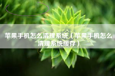 苹果手机怎么清理系统（苹果手机怎么清理系统缓存）