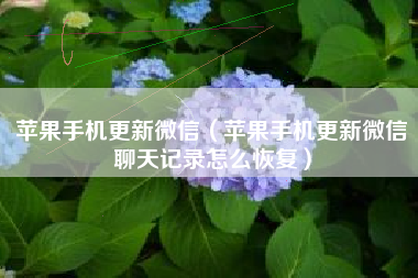 苹果手机更新微信（苹果手机更新微信聊天记录怎么恢复）