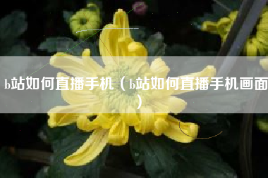 b站如何直播手机（b站如何直播手机画面）