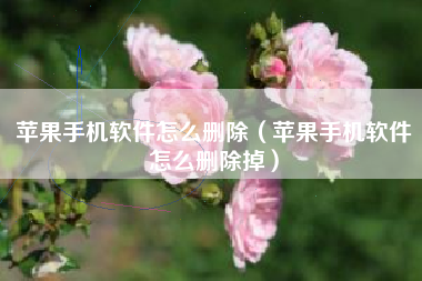 苹果手机软件怎么删除（苹果手机软件怎么删除掉）