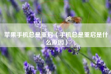 苹果手机总是重启（手机总是重启是什么原因）